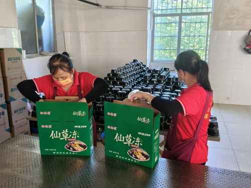 年順食品廠 守護贛南餐桌安全，共筑健康生活新未來